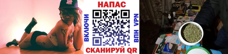 Купить  Зуевка  Конопля сатива 